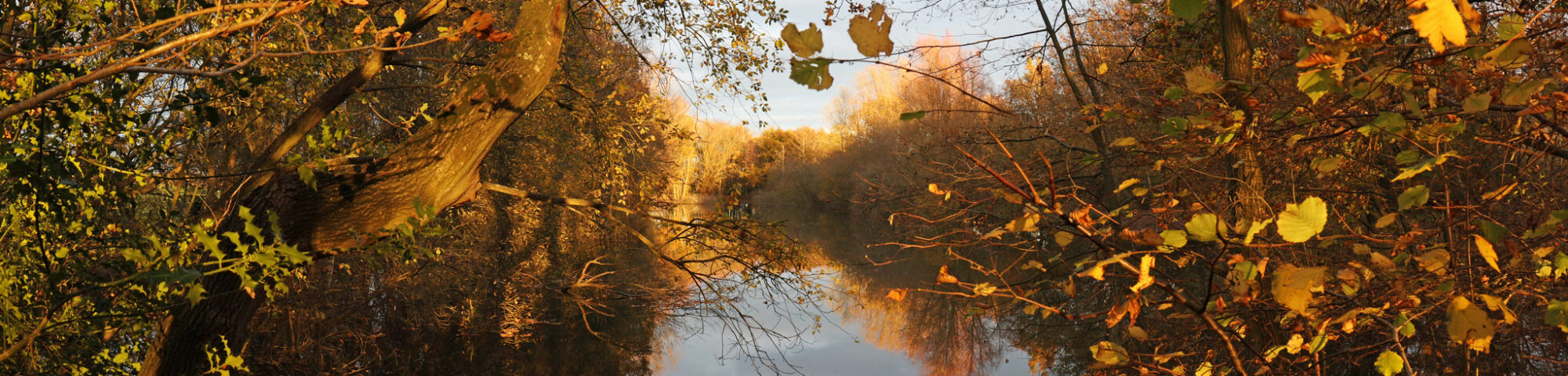 Broadoak reservoir, Canterbury, Autumn