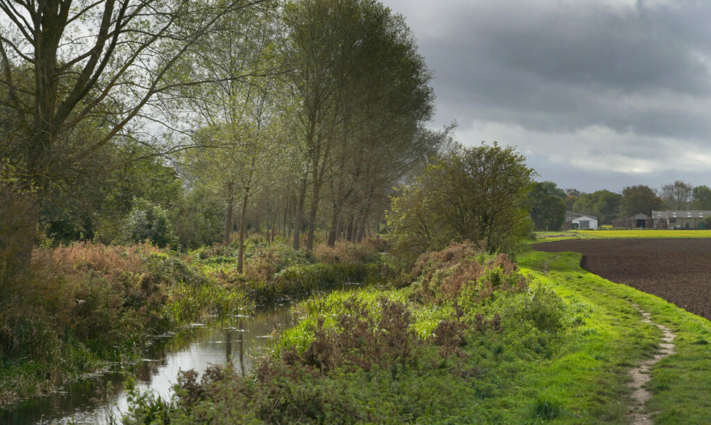 The little bourne chalk stream at Wickhambreaux, Kent