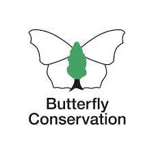 Butterfly Conservation logo with green butterfly