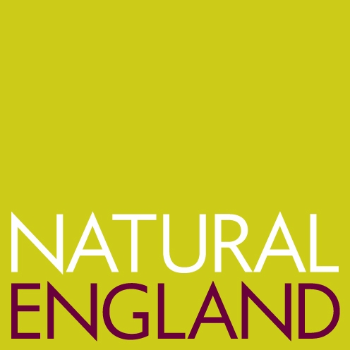 Natural England logo - white and red text on green background