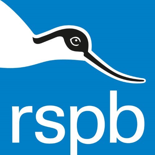 rspb logo with a white tern on a blue background