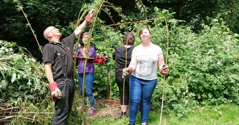 Making Willow tunnels