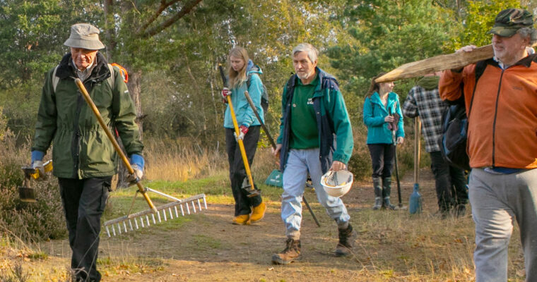 Volunteers at Hothfield Heathlands