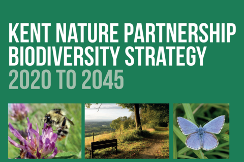 Kent Nature Partnership Biodiversity Strategy 2020 to 2045 with images of bees, butterflies and bench overlooking landscape